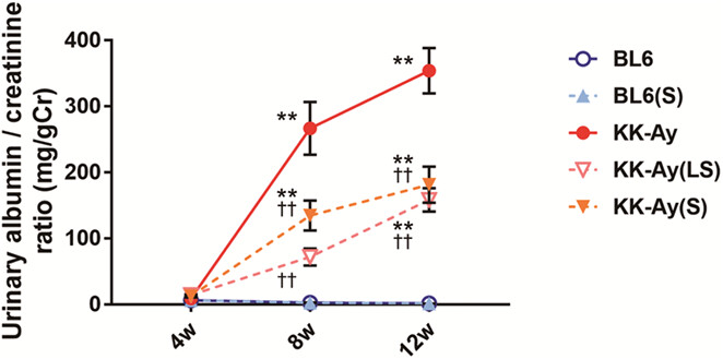 Suramin prevents the development of diabetic kidney disease by inhibiting NLRP3 inflammasome activation in KK-Ay mice