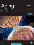 Aging Cell