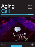 Aging Cell
