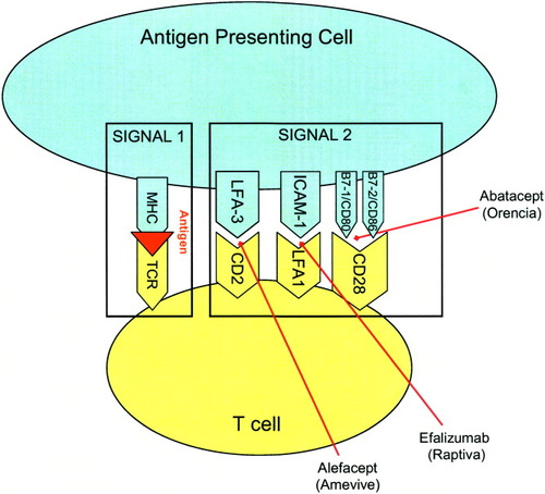 Details are in the caption following the image