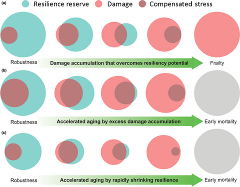 Measuring biological aging in humans: A quest Issue 2, 2020