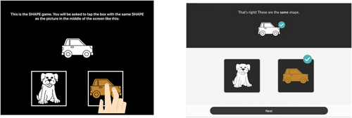 Details are in the caption following the image Details are in the caption following the image