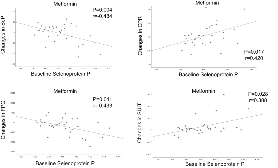Circulating selenoprotein P levels predict glucose-lowering and insulinotropic effects of metformin, but not alogliptin: A post-hoc analysis