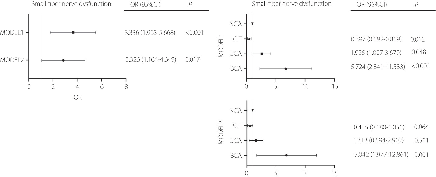 Carotid atherosclerosis: An independent risk factor for small fiber nerve dysfunction in patients with type 2 diabetes mellitus